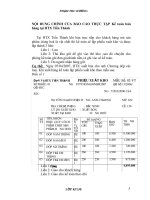 NỘI DUNG CHÍNH CỦA BÁO CÁO THỰC TẬP Kế toán bán hàng tại HTX Tiến Thành