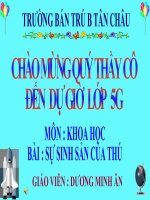 Tài liệu Sự sinh sản nuôi con của thú