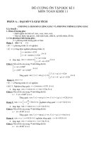 đề cương ôn tâp học ki1 đại số