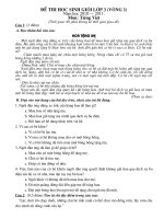 DE THI HSG T.VIET 3 - THANG 11