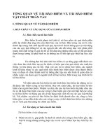 TỔNG QUAN VỀ TÁI BẢO HIỂM VÀ TÁI BẢO HIỂM VẬT CHẤT THÂN TÀU