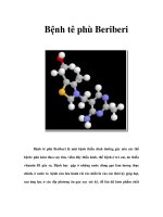 Bệnh tê phù Beriberi