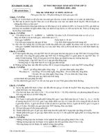 Bài giảng Đề và ĐA HSG Tỉnh An Nghệ môn Sinh 12B