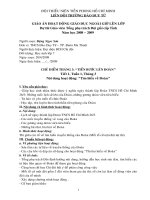 giáo án dự thi TPTĐGiỏi cấp tỉnh