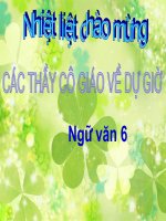 Tài liệu Nhan hoa lớp 6