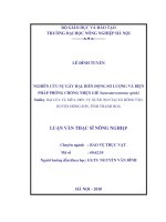 Nghiên cứu sự gây hại, biến động số lượng và biện pháp phòng chống nhện gié steneotarsonemus spinki smiley hại lúa vụ mùa 2009 