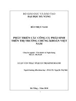 Phát triển các công cụ phái sinh trên thị trường chứng khoán việt nam 