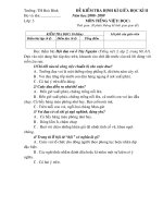 Bài giảng Đề KT TV