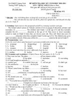 de thi hoc ky 1-2010-2011-đã chỉnh sửa(hs miền nui)-by nguyen duc canh