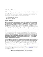 Addressing in IP Networks