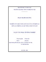 Nghiên cứu khả năng sản xuất của tổ hợp lai giữa gà trống ai cập với gà mái VCN g15 