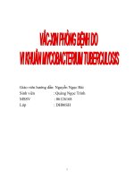 Tiểu luận:tiểu luận Vacxin phòng bệnh do vi khuẩn Mycobacterium tuberculosis