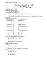 Đề thi và cách đánh giá môn T - TV cuối kì 1