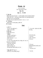 Bài soạn Giáo án Tuần 18
