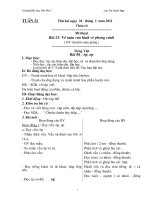 Gián án Giáo án tuần 21(10-11)