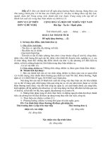 Mẫu báo cáo thành tích