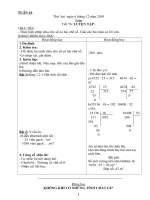 giao an buoi  1 tuan 16 cktkn 2010