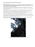 CHIEM NGUONG DONG THIEN DUONG (PHONG NHA-QB)