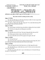 Gián án Lịch sử 9 (HK1_2010-2011)