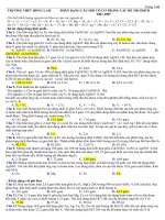 Gián án PHAN DANG VO CO TRONG DE DHCD