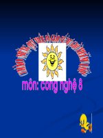 Tiet 33 An toan dien(hay)