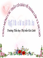 Hoat dong nong nghiep ( chuyen de)