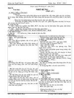 Bài giảng Giao an NVan 8, ki 2 - 2010 - 2011