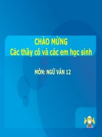 Tư liệu tích luỹ