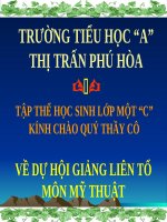 Bài soạn Bai 24,m1,VTDT,Ve cay,ve nha