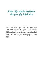 Phát hiện nhiều loại biến thể gen gây bệnh tim