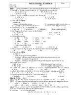 Đề mẫu thi HKI Hóa 10 số 8