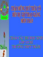 Bài soạn Hai đường thẳng chéo nhau và hai đường song song