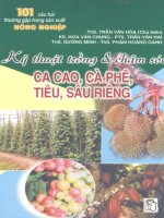 Kỹ thuật trồng và chăm sóc ca cao, cà phê, tiêu, sầu riêng