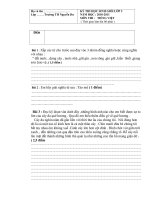 ĐỀ THI HỌC SINH GIỎI LỚP 3 NĂM 2010-2011