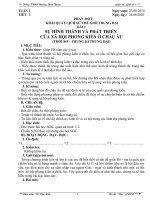 Giáo án Lịch sử 7 hay 2010-2011