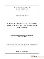 Hạn chế rủi ro cho vay tại ngân hàng nông nghiệp và phát triển nông thôn tỉnh kon tum 