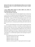 MỘT SỐ NÉT CHỦ YẾU VỀ TÌNH HÌNH HOẠT ĐỘNG SẢN XUẤT KINH DOANH CỦA CÔNG TY CỔ PHẦN THƯƠNG MẠI XÂY DỰNG VÀ DỊCH VỤ ĐẠI TIẾN