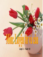 Luyện từ và câu - Tuần 12