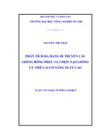 Luận văn phân tích đa dạng di truyền các giống bông phục vụ chọn tạo giống ưu thế lai có năng suất cao 