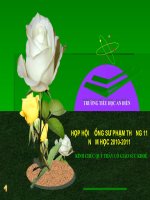 Họp Hội đồng sư phạm tháng 11 năm 2010 của trường tiểu học An Điền