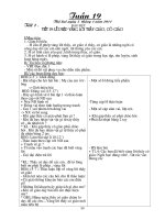 GIAO AN - TUAN 19 - LOP 1