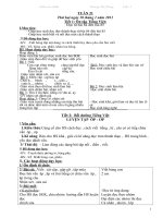 Bài soạn giao an buoi 2 tuan 20,21,22