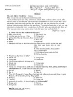 Bài soạn de thi HSg