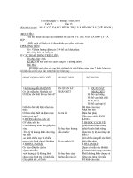 Gián án MT 6 tiết 15