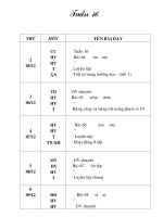 giao an lop 1 tuan 16