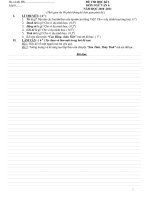 ĐỀ THI HKI VĂN 6