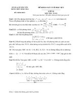 Tài liệu DE HSG LOP 10+ DAP AN