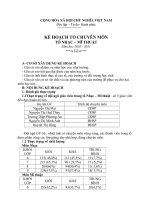 Kế hoạch tổ Nhạc-Mỹ thuật