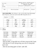 Gián án de thi tieng việt 2010