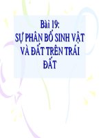 bài 19 Sự phân bố sinh vật - Đất